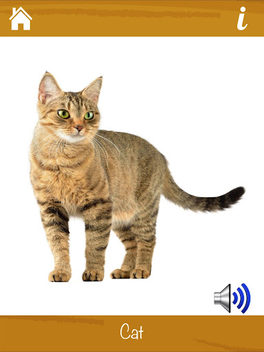 Smart Kids - Learn Animals