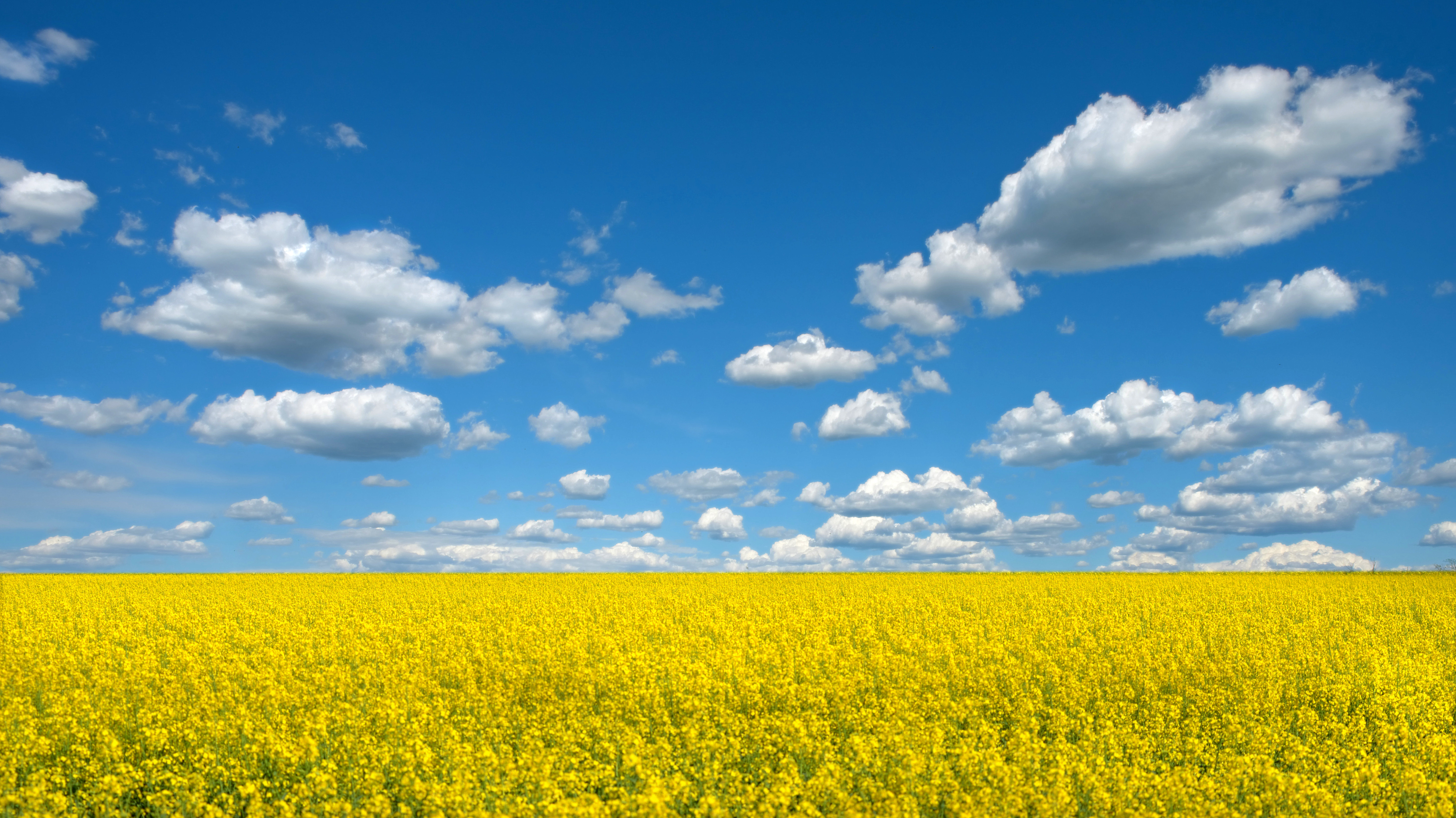 Nuvole di maggio di Dariagufo