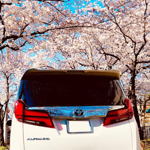 アルファード AGH30W