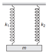 Spring-mass system