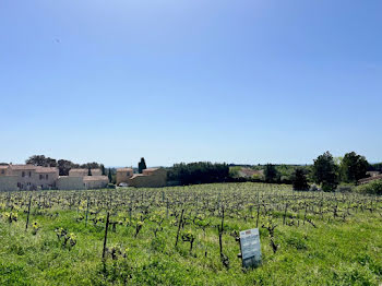 terrain à Vacqueyras (84)