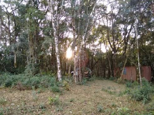 Chácaras à venda Zona Rural