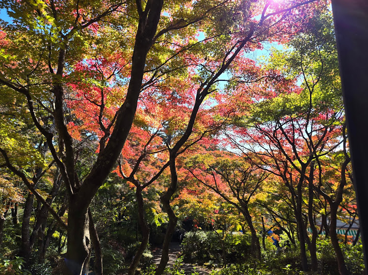 スイフトスポーツのプチオフ会・筑波山、朝日峠駐車場🅿️・筑波山神社・紅葉🍁に関するカスタム事例の投稿画像23枚目