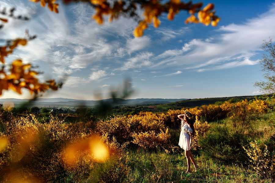 Fotógrafo de bodas Mikola Mukha (mykola). Foto del 10 de mayo 2020