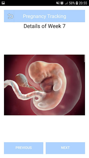 Day by Day Pregnancy Tracker