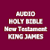 Audio Bible New Testament icon