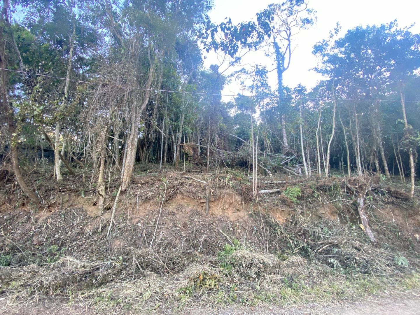 Terreno Residencial à venda em Fazenda Bela Vista, Nova Friburgo - RJ - Foto 6