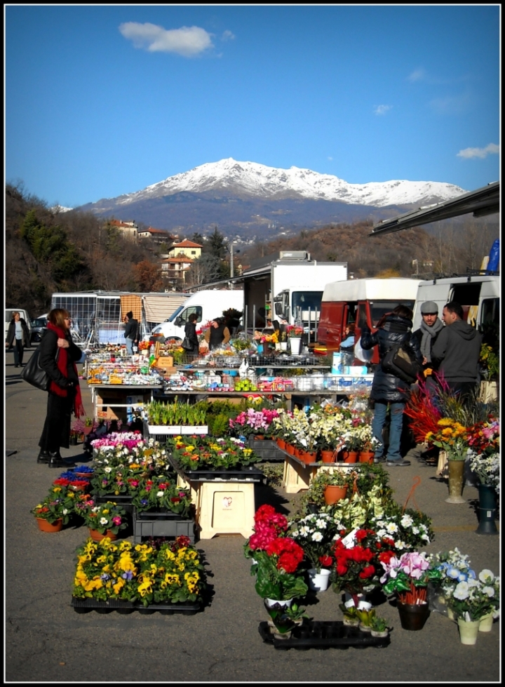 Fra colori e freddo di Marta