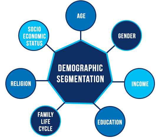 email segmentation strategy; Demographics chart; MailDrip