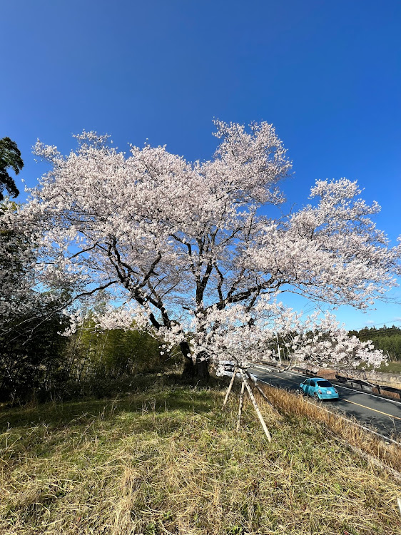 の投稿画像2枚目