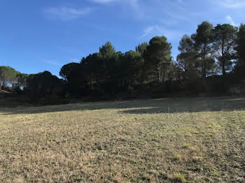 maison neuve à Villeneuve-Minervois (11)