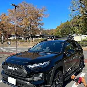 RAV4 AXAH54