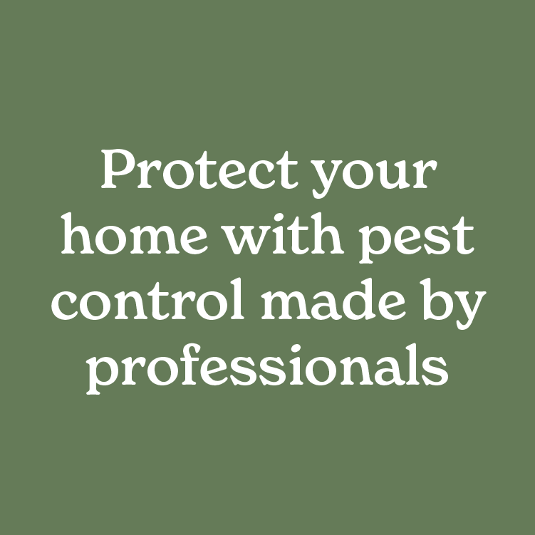 Protect your home with pest control made by professionals