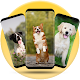 Download Dogs Wallpaper For PC Windows and Mac 1.0