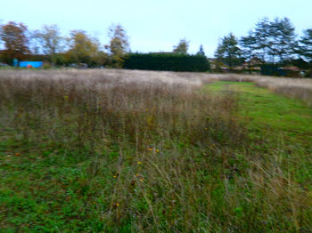 terrain à Reuilly (36)