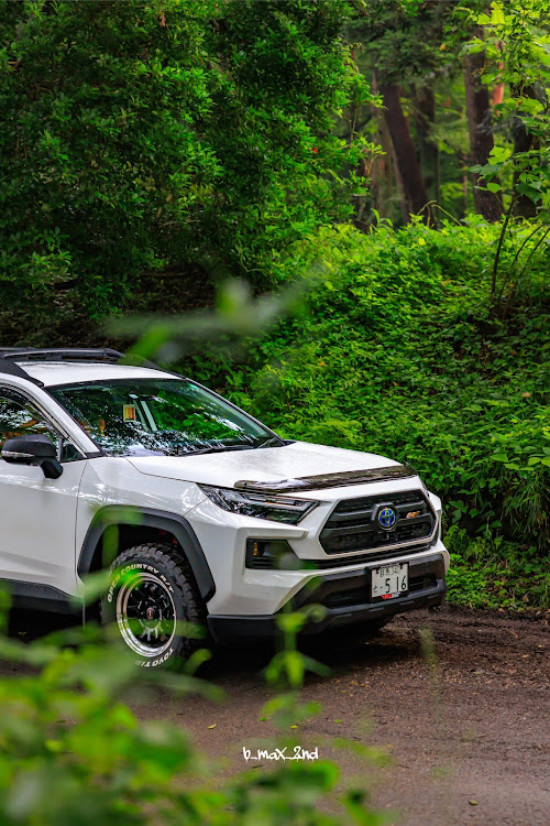 RAV4の愛車の表情・Diode Dynamics・rays・Taco Vinyl・アンブレラスカイに関するカスタム事例の投稿画像3枚目