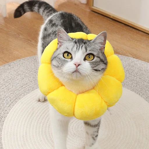 Cat Sunflower Elizabeth Cotton Neck Sterilization Feeding Anti Lick Bite Beauty Head Cover Dog Pet Collar