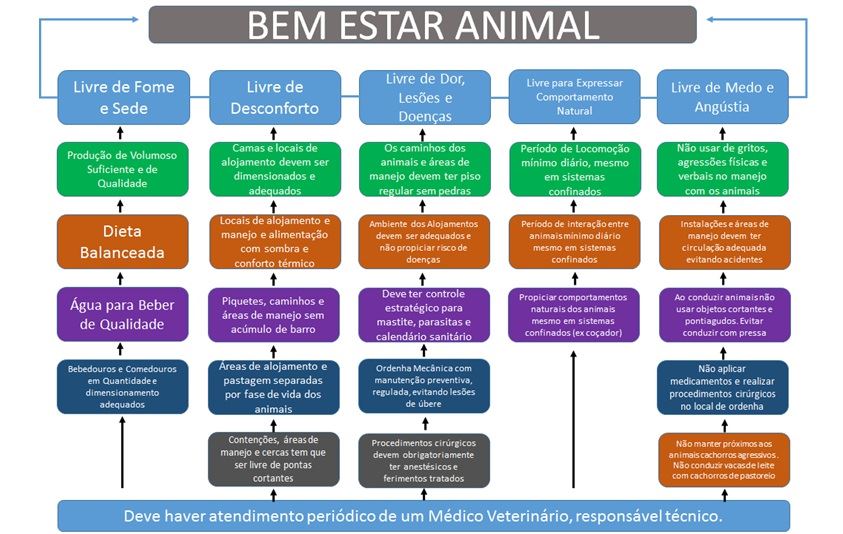 bem-estar animal