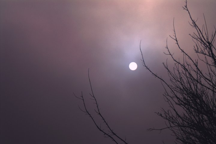 Sole nella Nebbia di MaoCesa