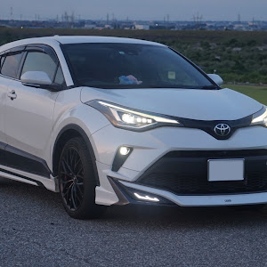 C-HR NGX50