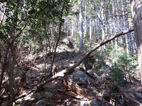 山頂直下で岩の多い斜面