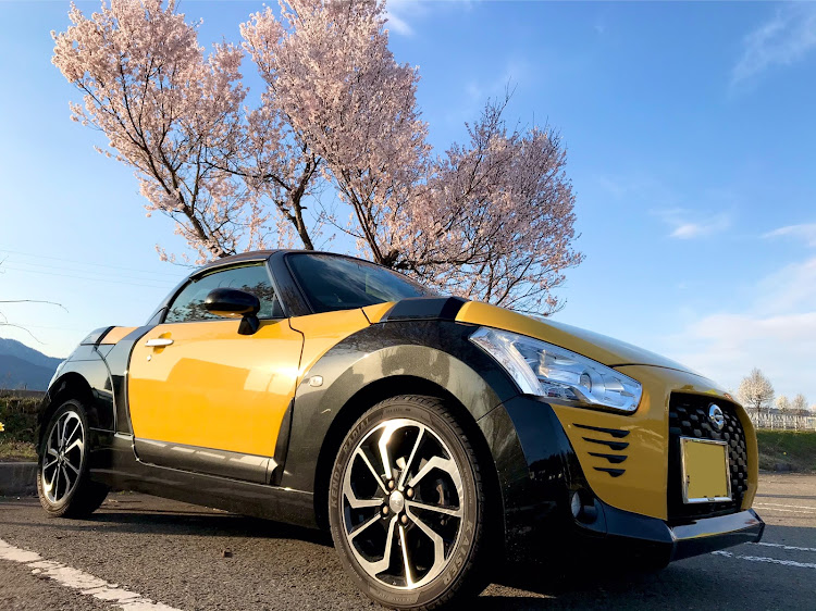 コペンの目指せPickUpCars・さくらとコラボ・新生活応援に関するカスタム事例の投稿画像3枚目