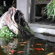 人本自然七彩神仙魚主題餐廳