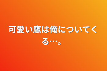 可愛い鷹は俺についてくる…。