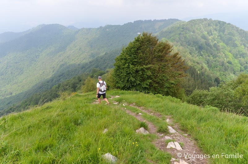 Rando Monte Boletto