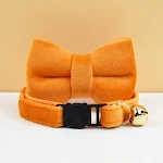 bow tie collar