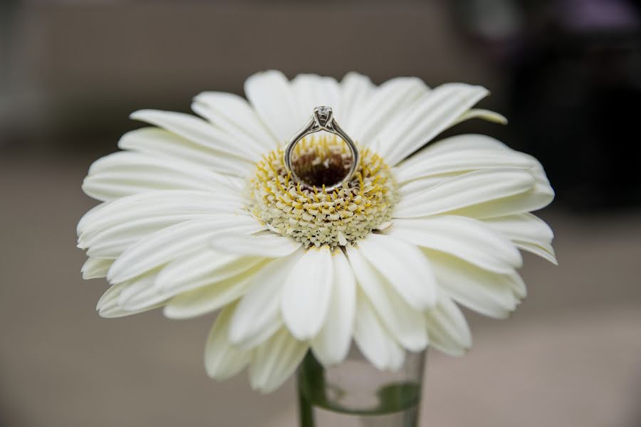 Fotógrafo de bodas Luis Tovilla (loutovilla). Foto del 2 de marzo 2020