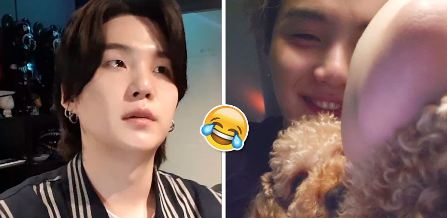 BTS Suga's Dog Holly Is Basically His Boss — Here's His Latest Update ...