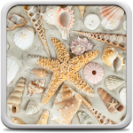 Seashells Live Wallpaper Apk