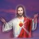 Download Sacred Heart Garrison Church - Avadi (SHGC) For PC Windows and Mac 9.15