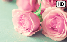 Girly Flowers HD Wallpapers New Tab Theme small promo image