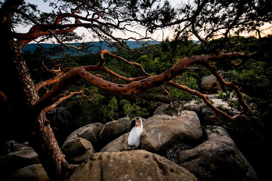 Wedding photographer Andrey Opir (bigfan). Photo of 3 October 2018