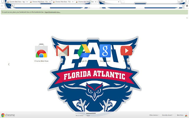 Florida Atlantic University Owl Theme chrome extension