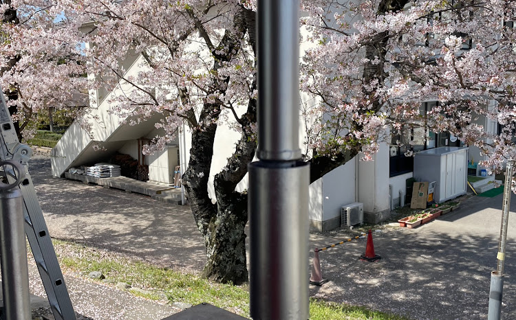 R-2の𝐂𝐆さんが投稿したカスタム事例の投稿画像4枚目