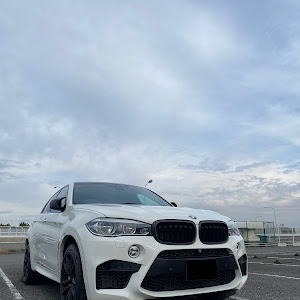 X6 M F86