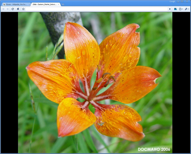 iSlide Preview image 9