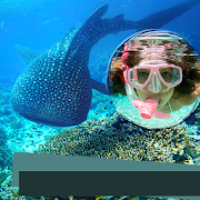 Whale Shark Photo Frames  Icon