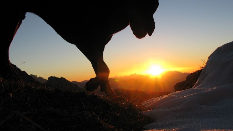 Alba e buio, montagne e neve, e...  di MTB_Friuli