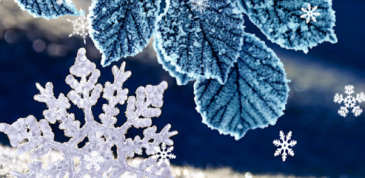 Winter Live Wallpaper