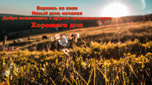 Доброе утро ночи  пожелания цитаты и изображения
