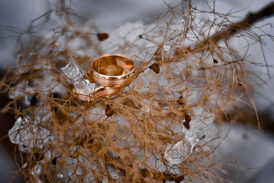 Photographe de mariage Ekaterina Manaenkova (lapick87). Photo du 27 novembre 2017