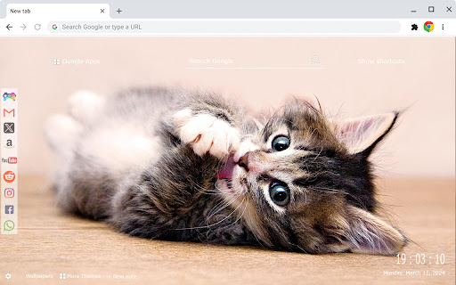 Cats and Kittens New Tab Extension