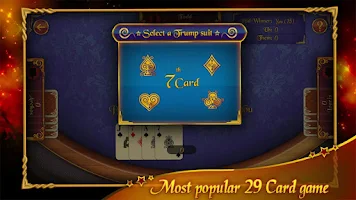 29 Card Game Screenshot