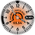RHS 120 WR icon