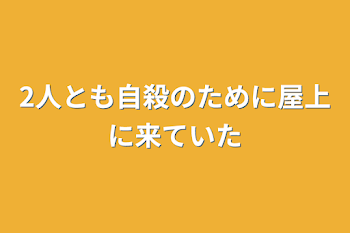 2人とも自殺のために屋上に来ていた