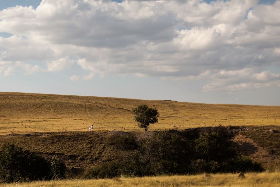 Bryllupsfotograf Lyudmila Rumyanceva (mila). Bilde av 15 september 2015